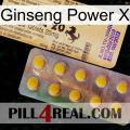 Ginseng Power X new06